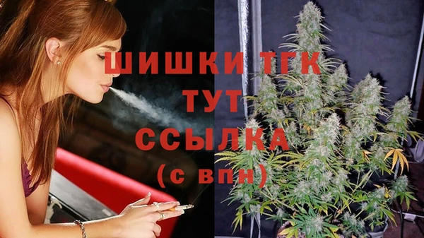 стаф Бронницы
