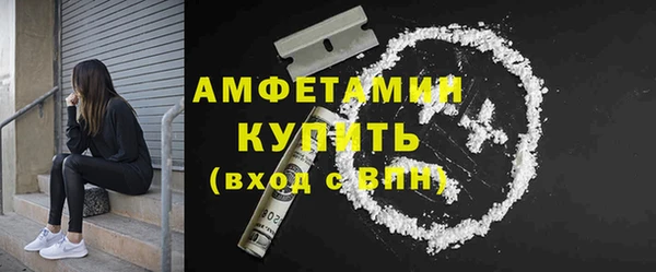 прущий лед Бородино
