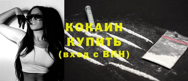прущий лед Бородино