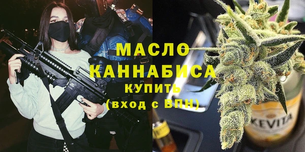 прущий лед Бородино
