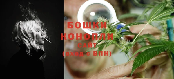 прущий лед Бородино