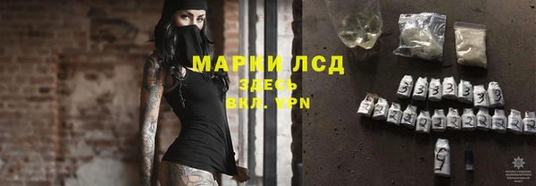 прущий лед Бородино