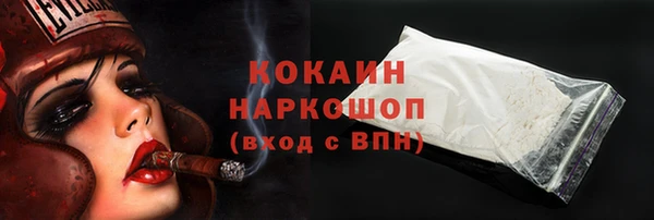 прущий лед Бородино