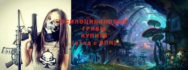 прущие грибы Богданович